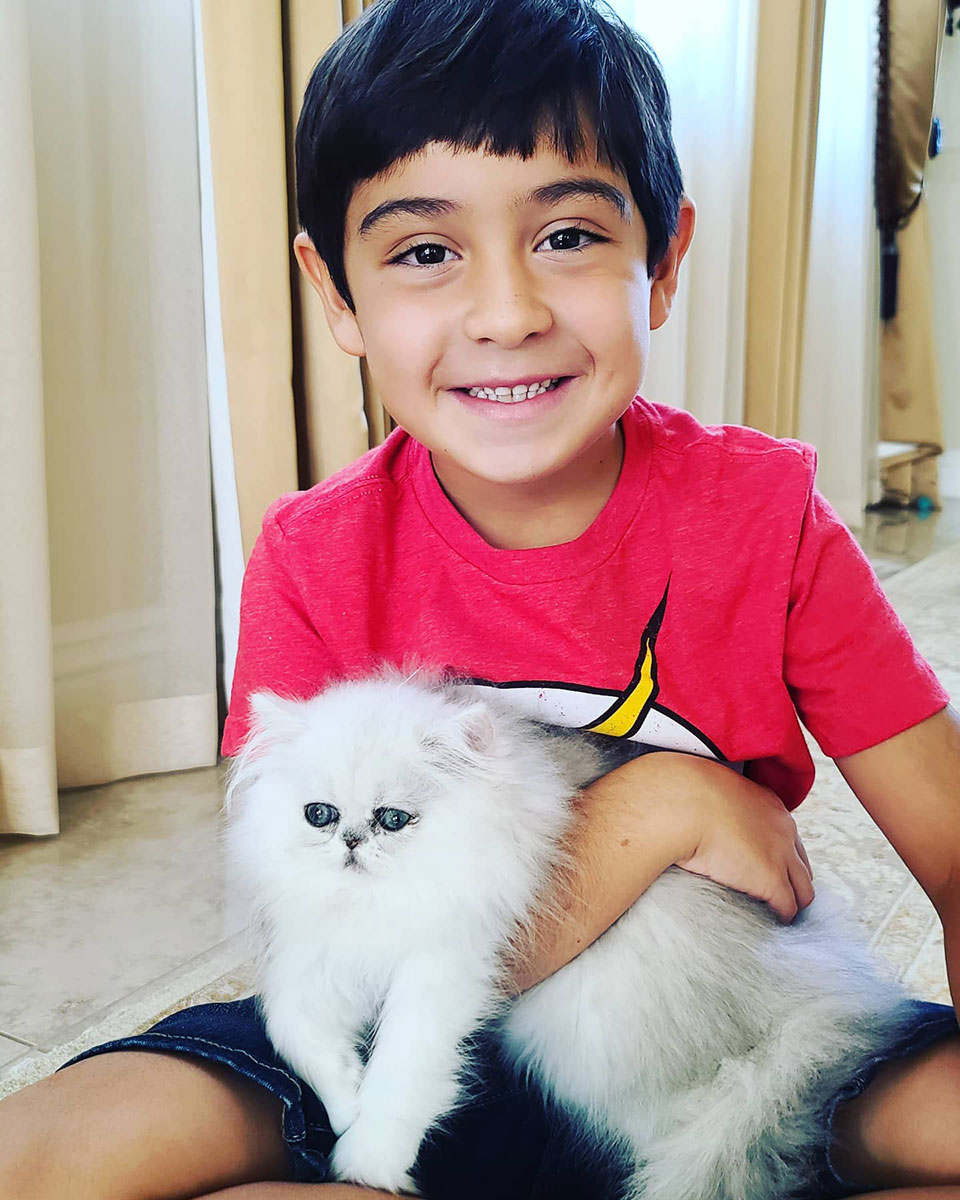 Silver Persian with happy new owner taylan